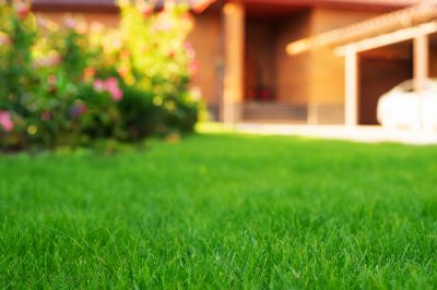 Commercial Landscape Maintenance