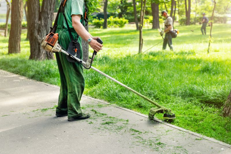 Commercial Landscape Maintenance