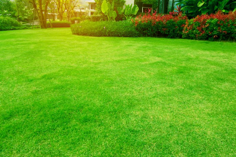 Commercial Landscape Maintenance