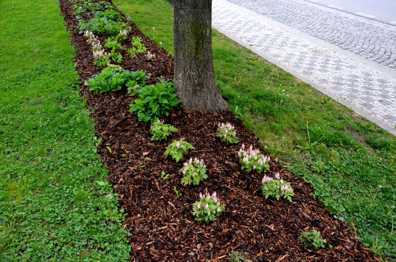 Mulched Bed Areas